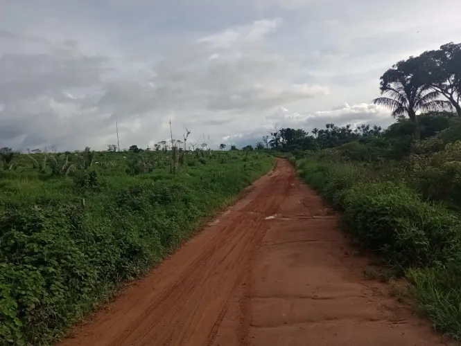 Fazenda 1.,035hec 730 aberto em pasto, região creporezinho no Pará. 5.500.000