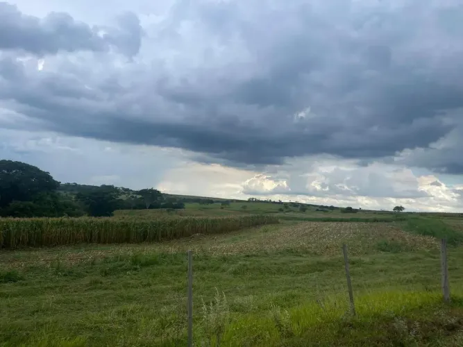 98 alqueires martinopolis