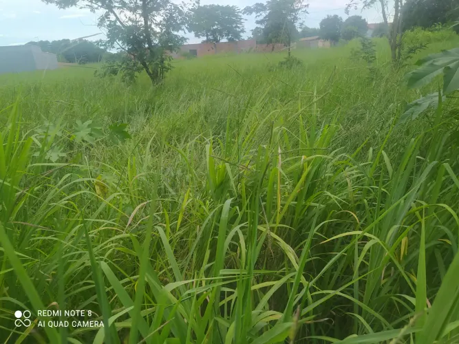 Imóvel para venda com 995 metros quadrados em Zona rural - Cezarina - GO