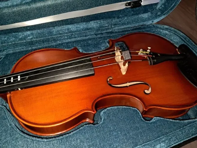 Viola Clássica 4/4 EAGLE VA180 - BAG LUXO