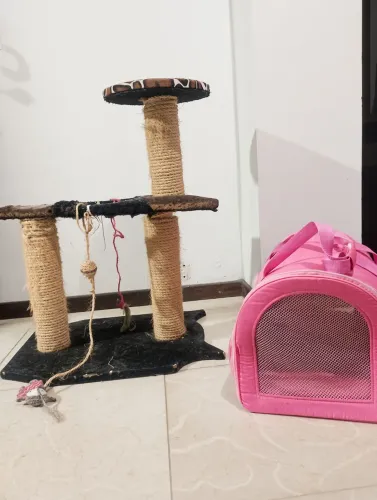 Playgrand para pets + Bolsa de transporte +arranhador