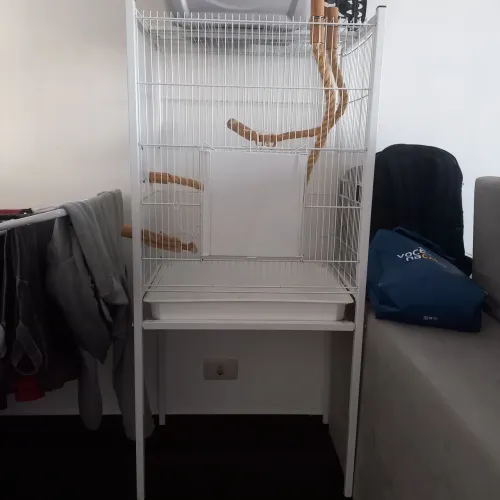 Gaiola para calopsitas 