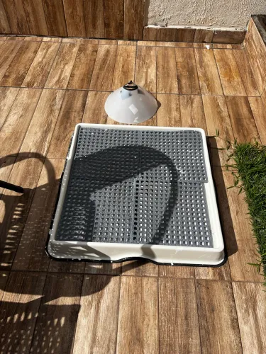 Banheiro para seu pet