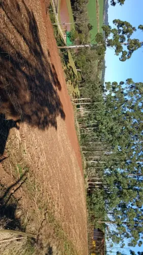 Vende se área de Terra aproximadamente 8.000 m²