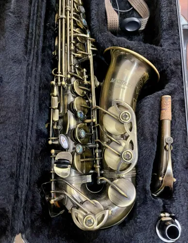 Sax Alto Michael Wasm46