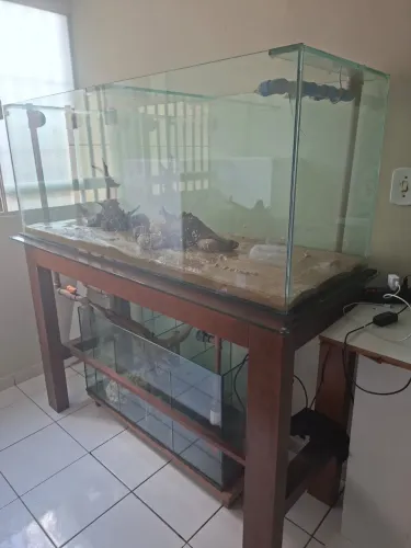 Aquário 450 litros com samp