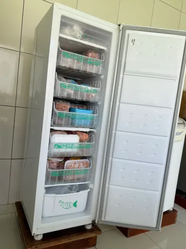 vendo frizer vertical 190 litros semi novo