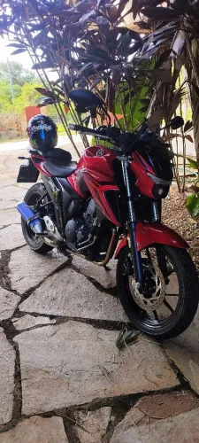 Vendo Dore 