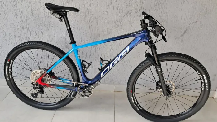 Bike oggi carbono tam17 NF2024 parcelo troco