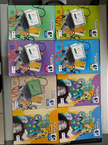 Livros Sae digital 6 ano 