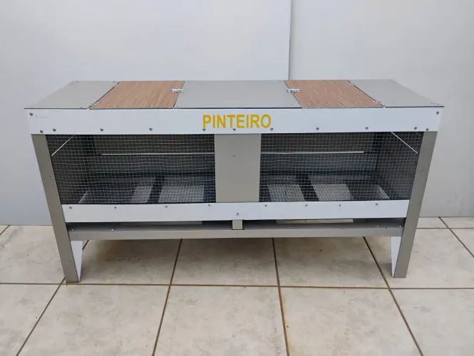 Pinteiro