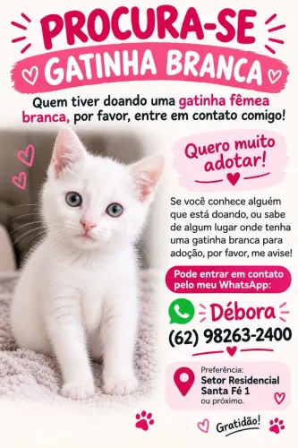 Gatinha fêmea para doação