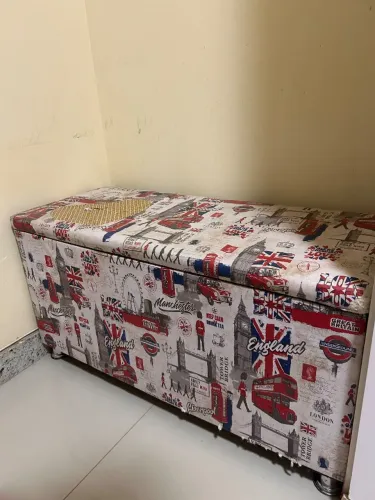 Baú Organizador