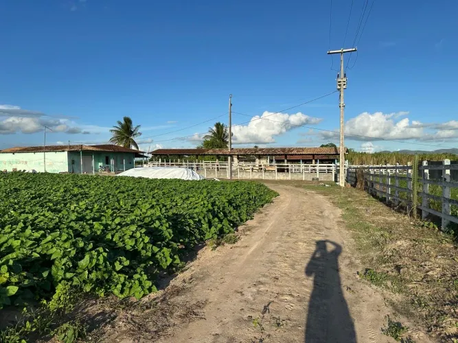 Sítio/chácara com 18 tarefas no povoado terra vermelha em Itabaiana