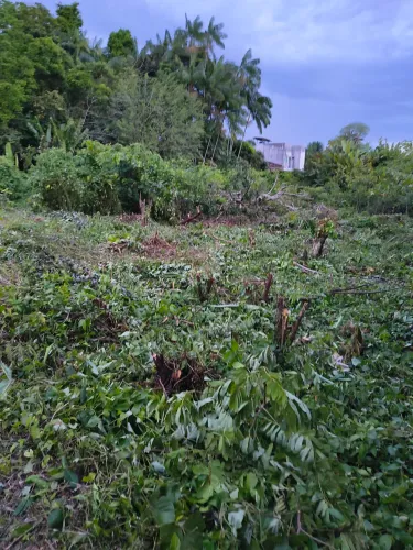 Condomínio Amazon Garden