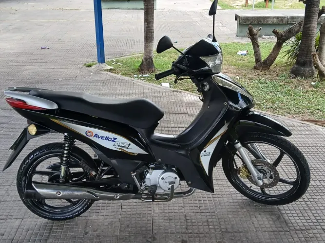 Cinquentinha aveloz emplacada 2020
