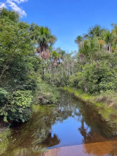 Vendo ágio de chácara