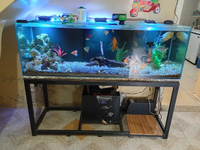 Aquario Grande 