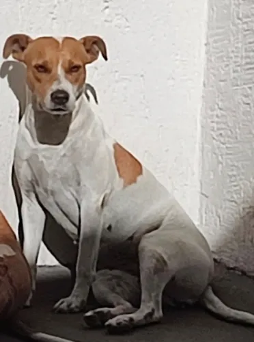 Doação dessa princesa