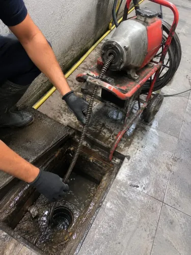 Desentupidora de ralo e vaso sanitário?