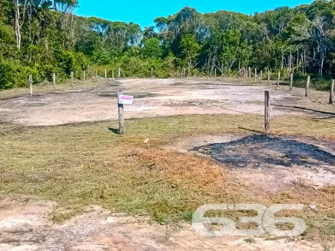 Terreno | São Francisco do Sul | Ervino