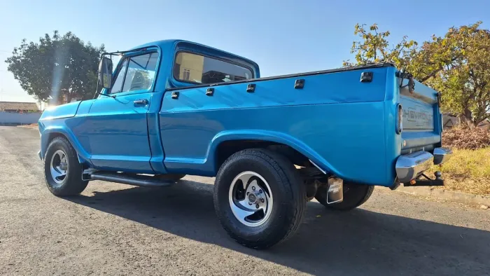 Chevrolet D-10 Diesel 1979
