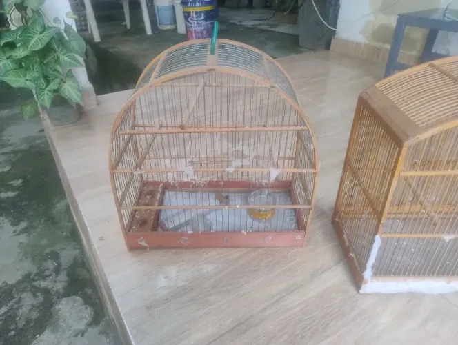 Vendo 2 gaiolas usada