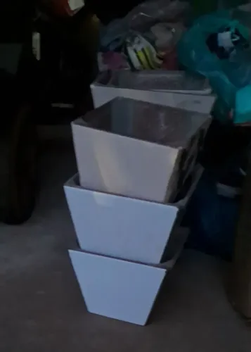 Vasos de plantas