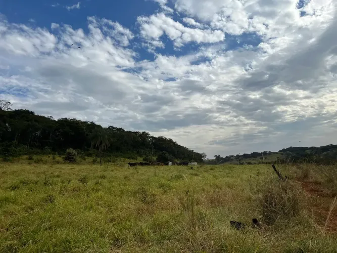 Fazenda para venda Uberaba