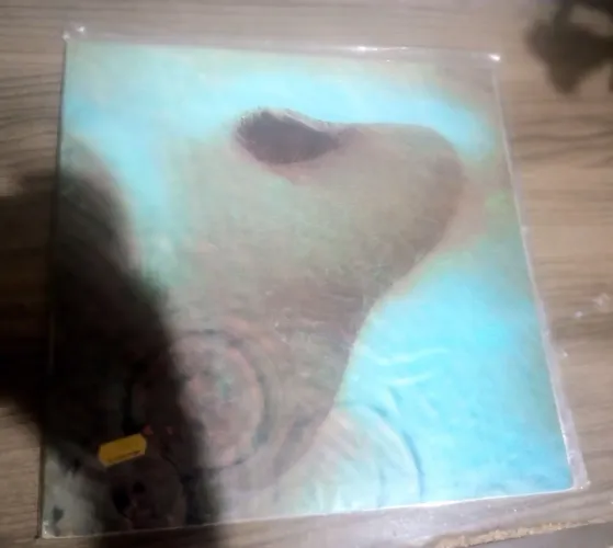 LP / Vinil Pink Floyd - Meddle