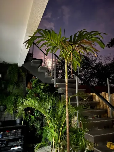 1 quarto e sala mobiliado no Tibau Piratininga