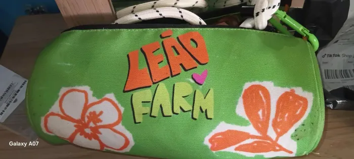 Bolsa farm edição leão farm