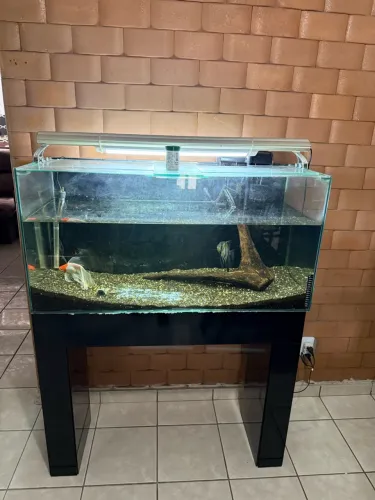Vendo aquário de 200 lts completo