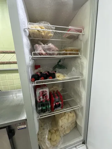 Freezer Gelopar