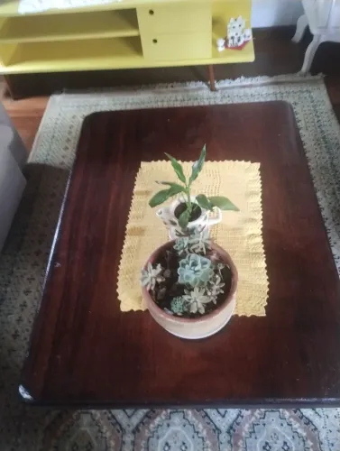 Mesa de centro