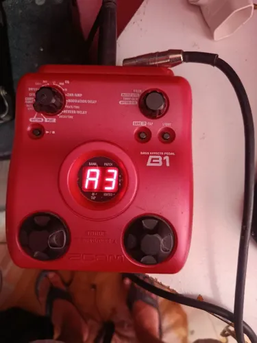 zoomb1