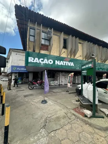 Apartamento para Aluguel no São Cristóvão (Carvalho Supermercado João XXIII) 4 quartos