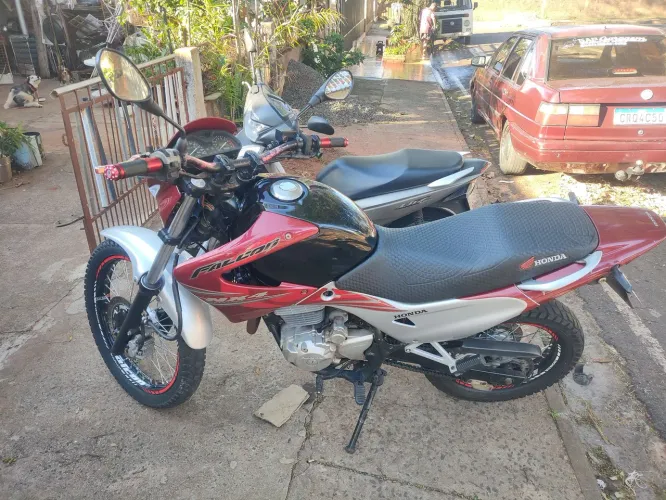 Vende-se falcao