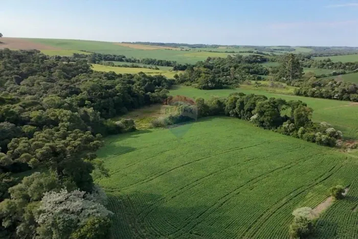 Fazenda à Venda: 73.668 m² em Nonoai, RS