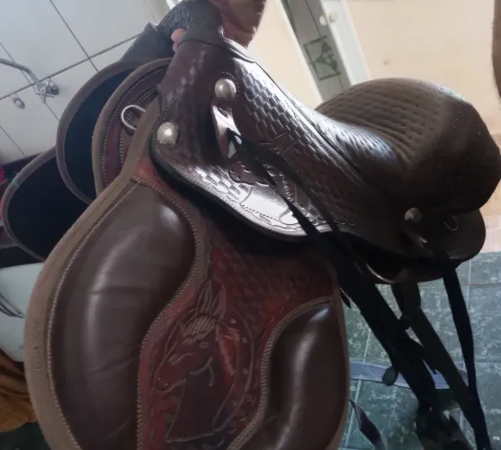 Sela Australiana nova