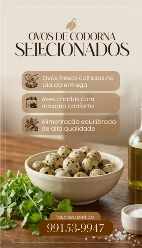 Ovos de Codorna Selecionados
