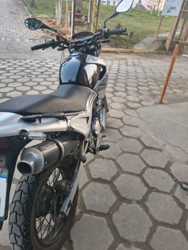 Falcon
