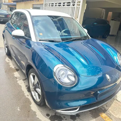 GWM Ora 03 Skin (elétrico) 2024