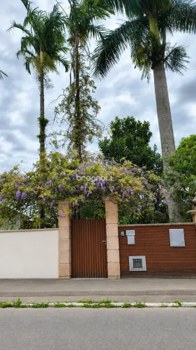 Sitio em Ratones