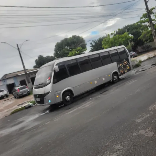 Micro ônibus, Fretamentos