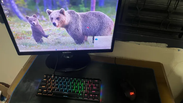 Pc gamer + Periféricos