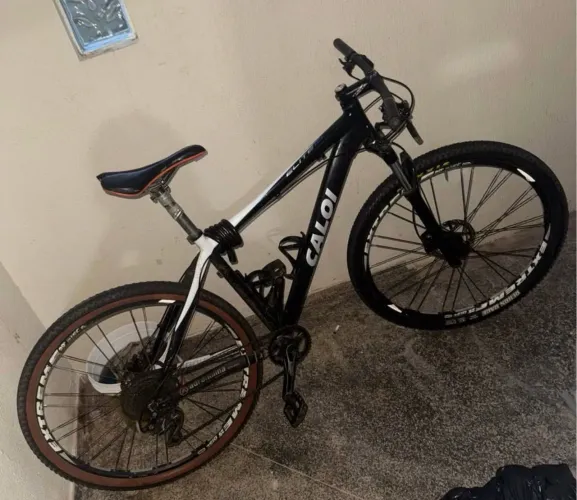 Bicicleta Caloi Aro 29