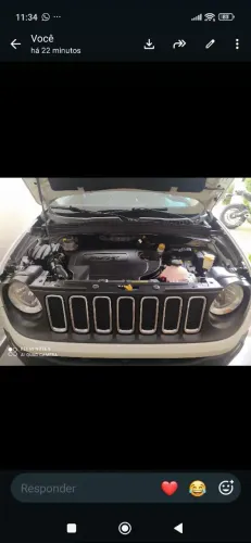 Jeep Renegade Sport 2.0 4X4 TB Diesel Aut. 2016