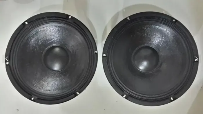 Alto Falante 10"