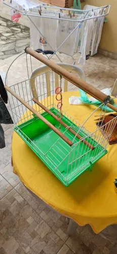 Parquinho calopsita